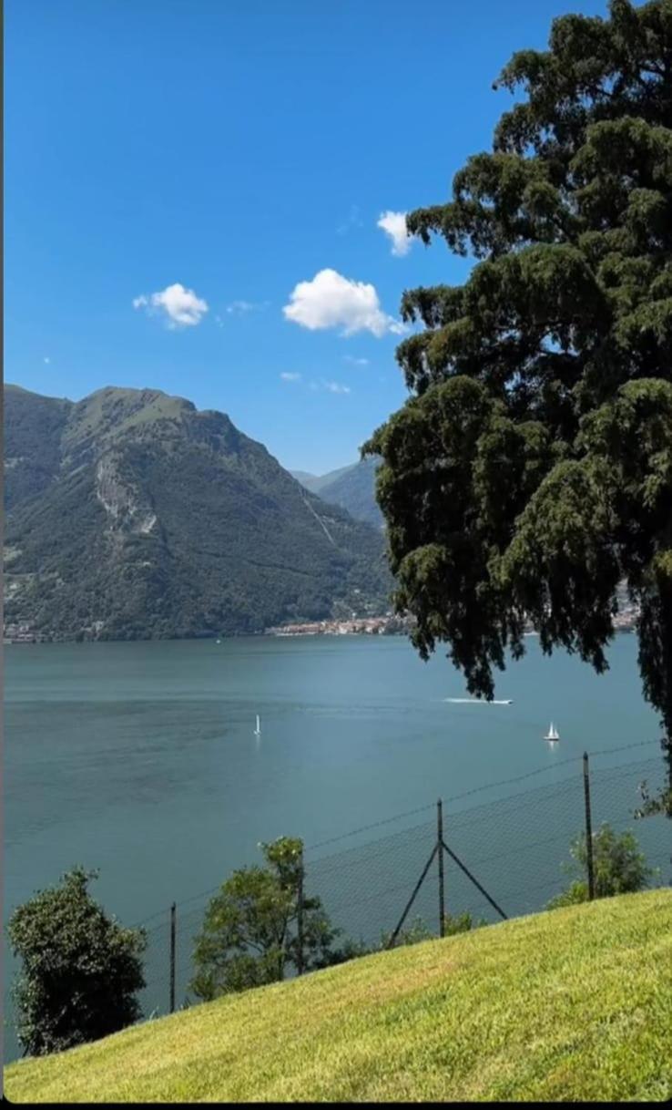 Villa Meraviglia - Villa With Breathtaking Lake Como Views Коліко Екстер'єр фото